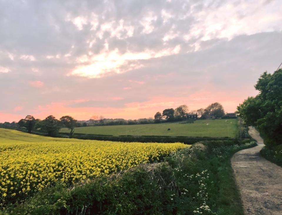 Market Elsecar ภายนอก รูปภาพ